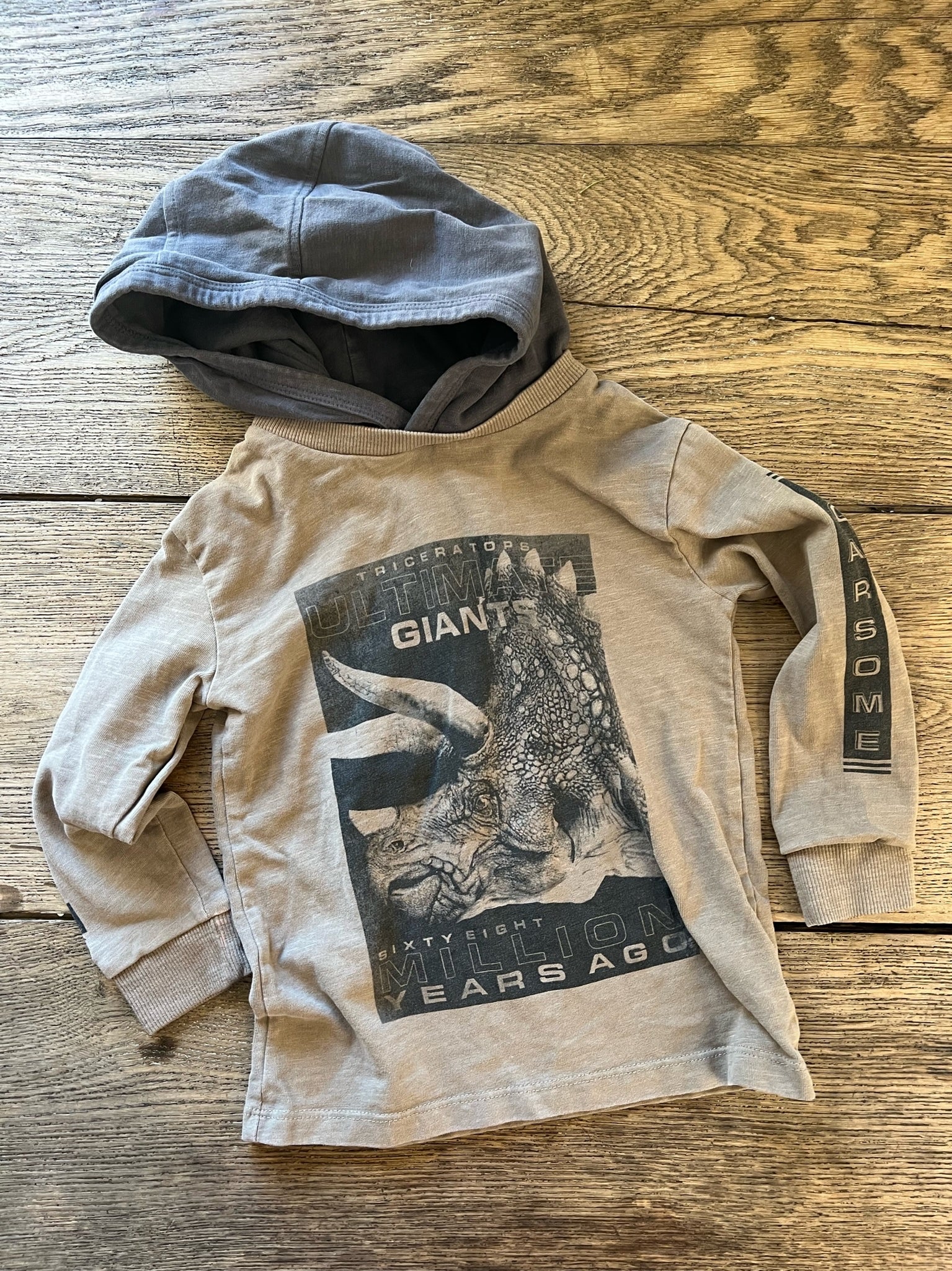 Next Dino Hoodie