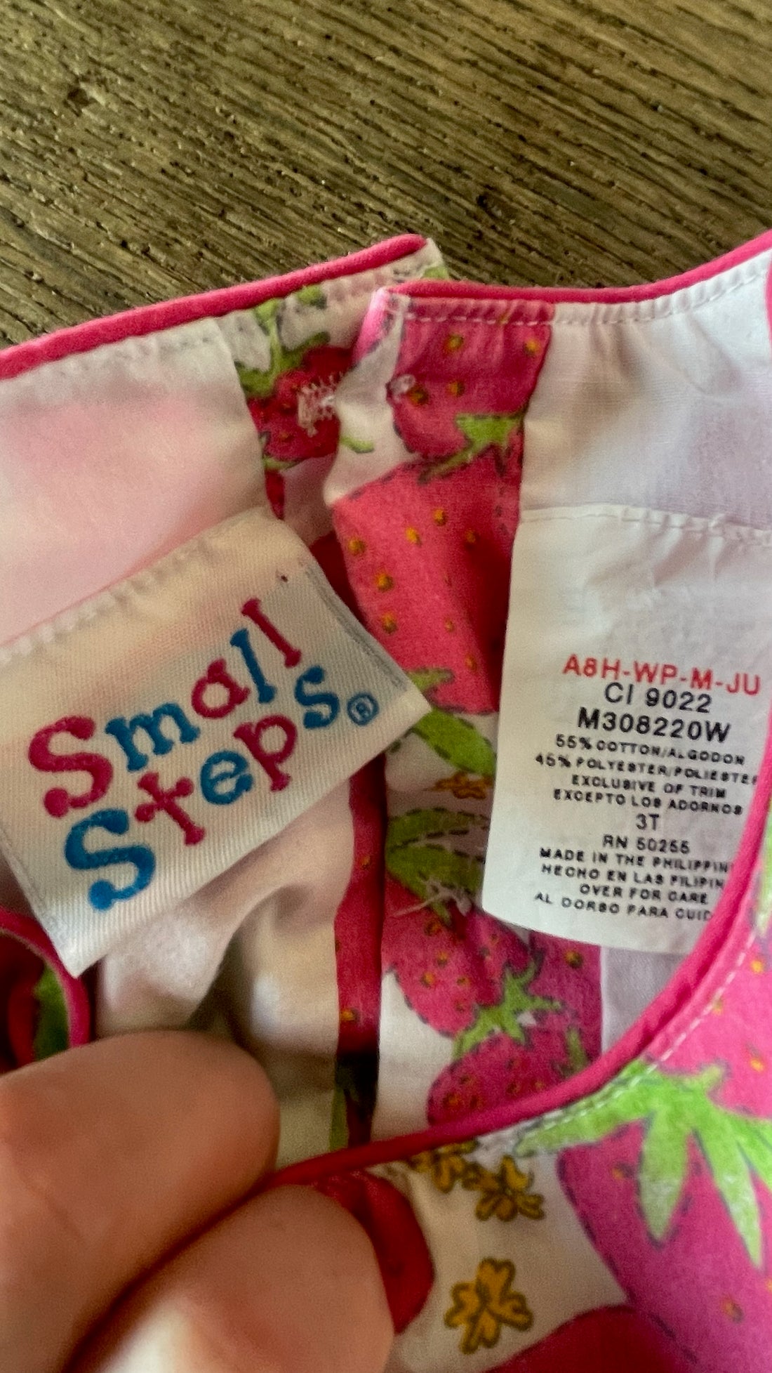 Small Steps Vintage Strawberry Dress