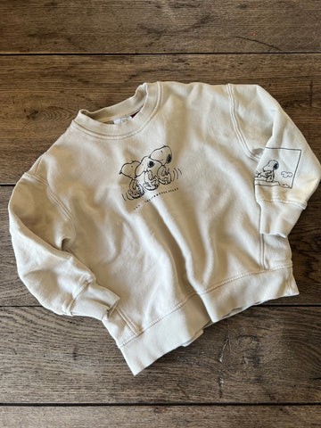 Zara Peanuts Pullover