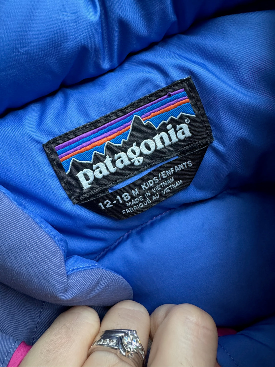 Patagonia Down Vest