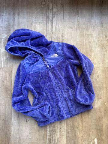 North Face Purple Jacket