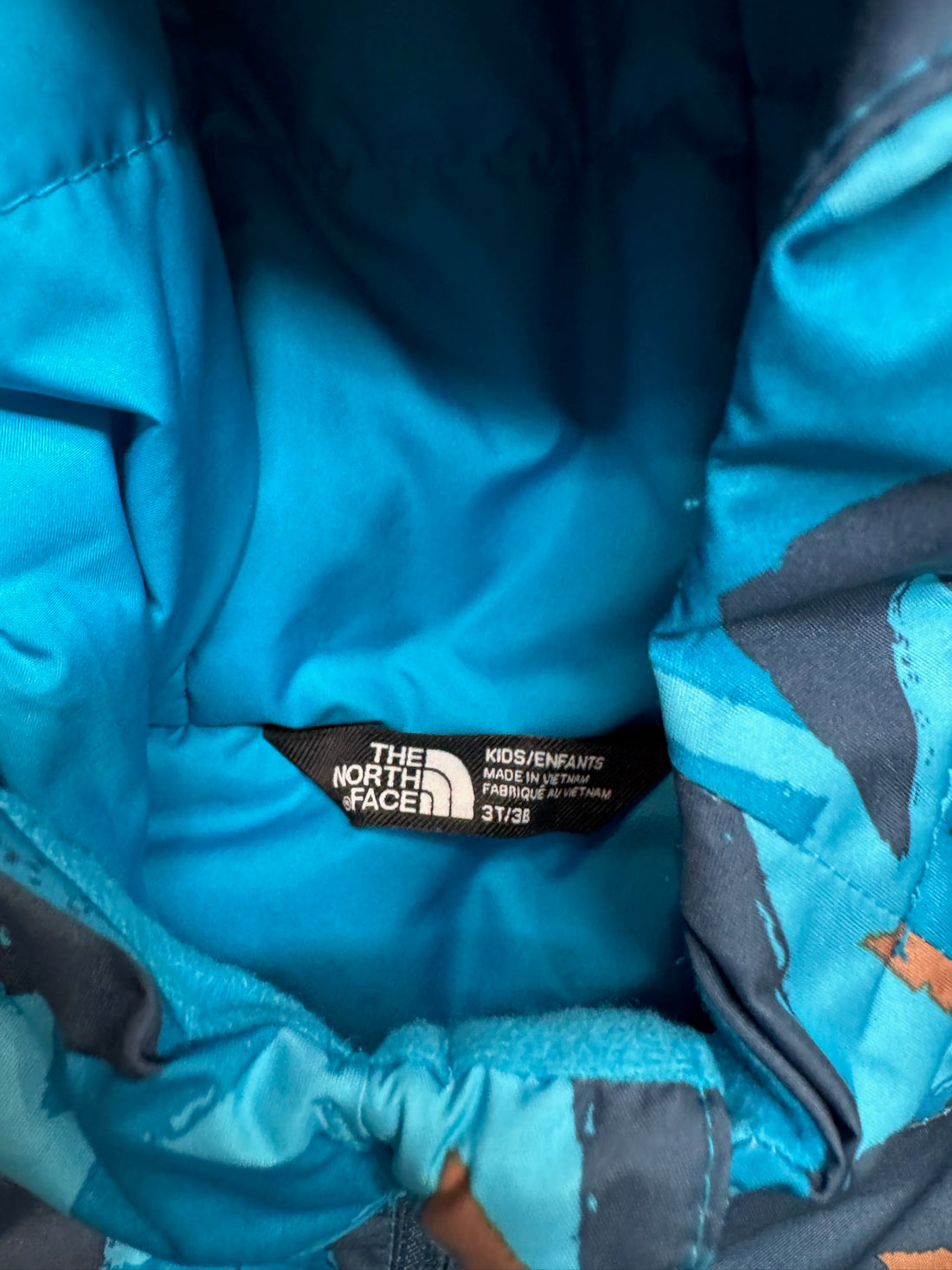 North Face Blue Coat