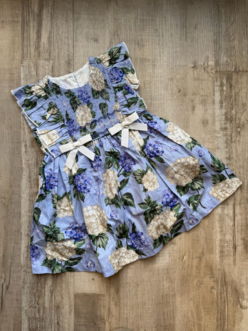 Iris & Ivy Floral Dress