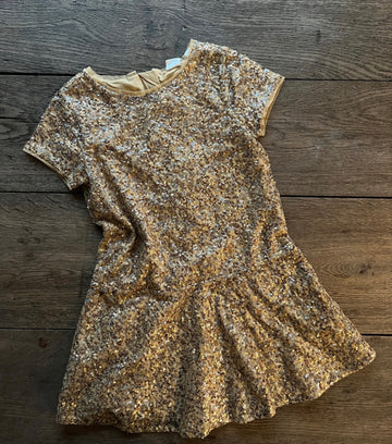 Gap Gold Sequins Dress