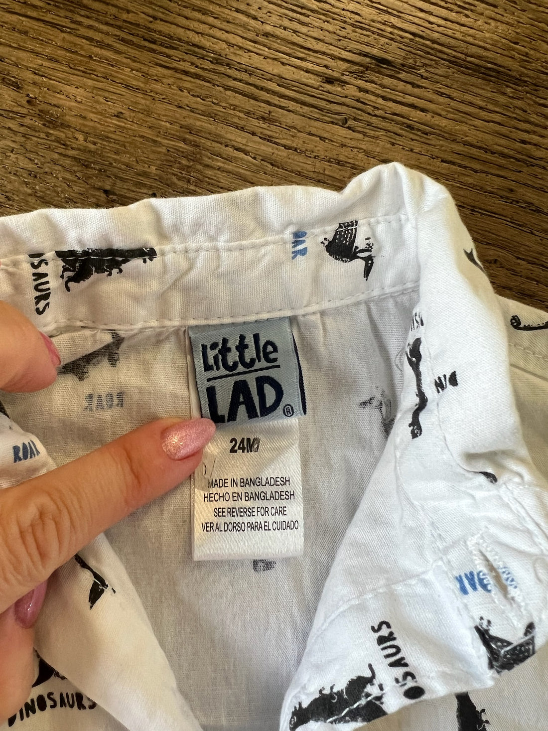Little Lad Dino Button Down