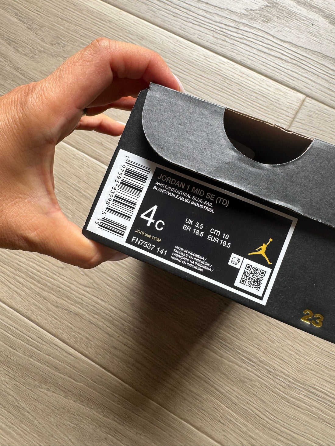 Nike Jordan Blue Check Shoes