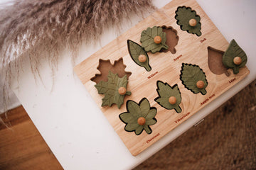Montessori Leaf Puzzle