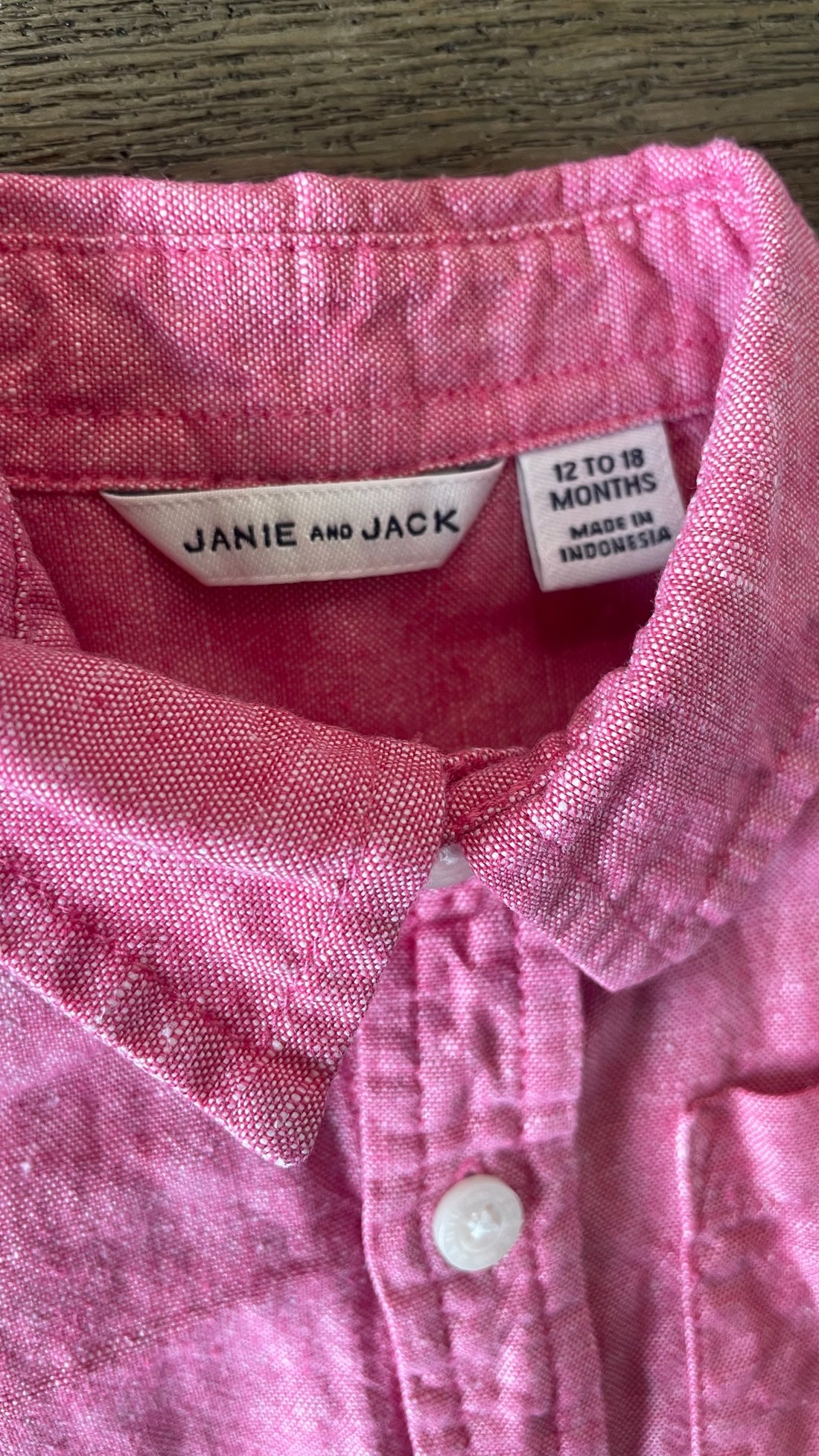 Janie & Jack Pink Button Down