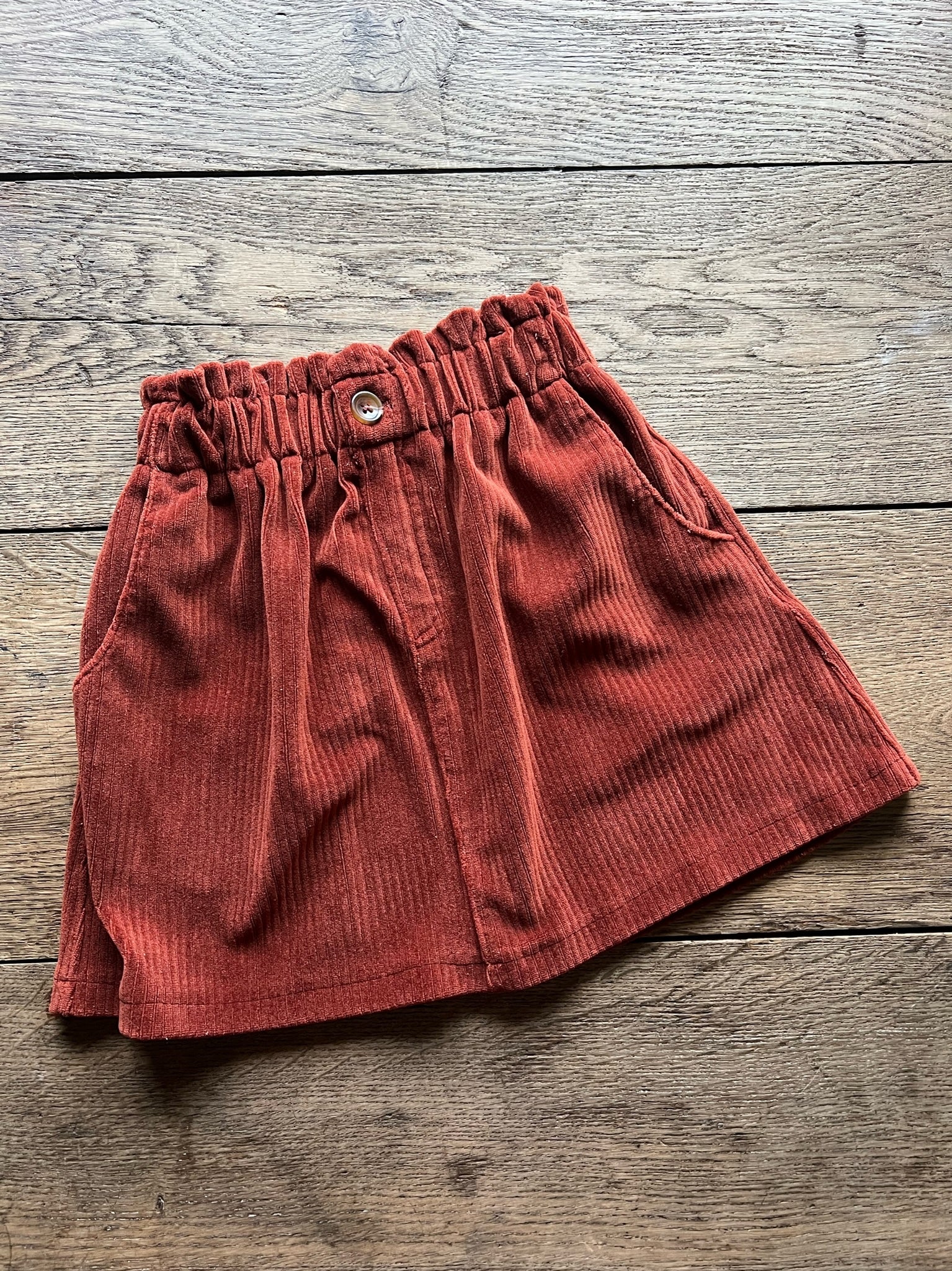 Zara Rust Skirt