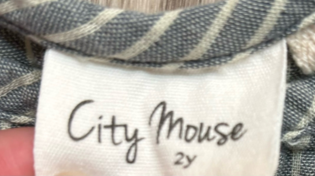 City Mouse Pinstriped Button Down