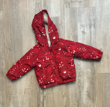 Stars & Rockets Red Dino Jacket