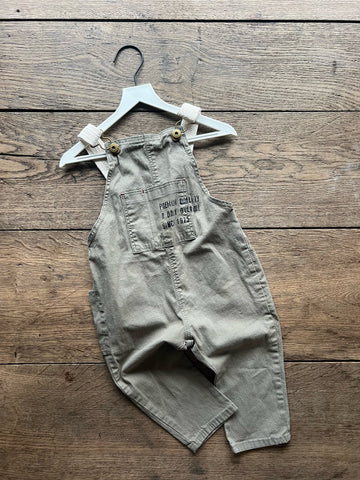 Zara  Overalls