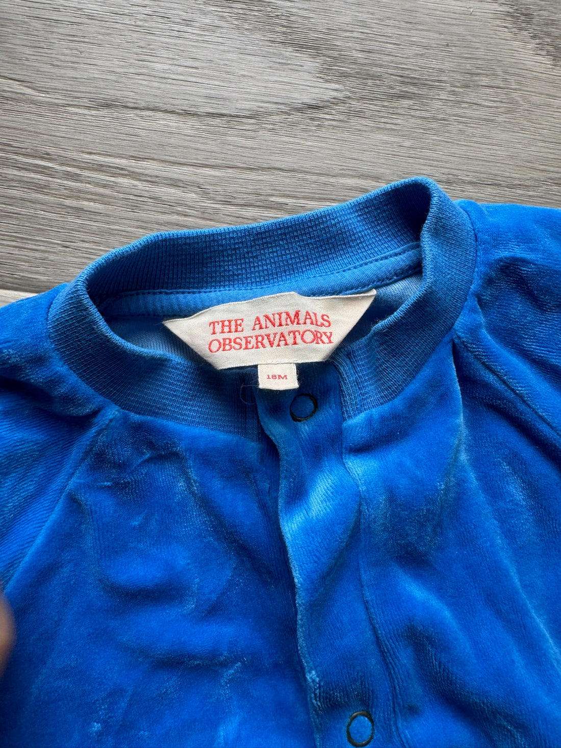 The Animal Observatory Blue Velour Romper