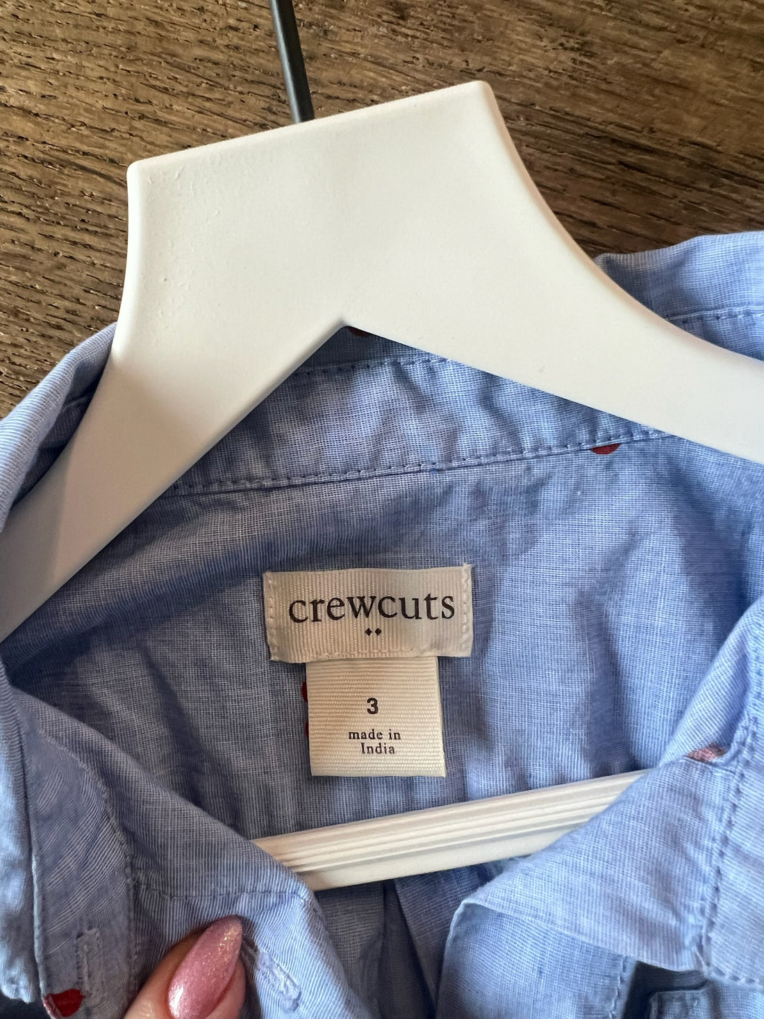 CrewCuts Heart Button Down