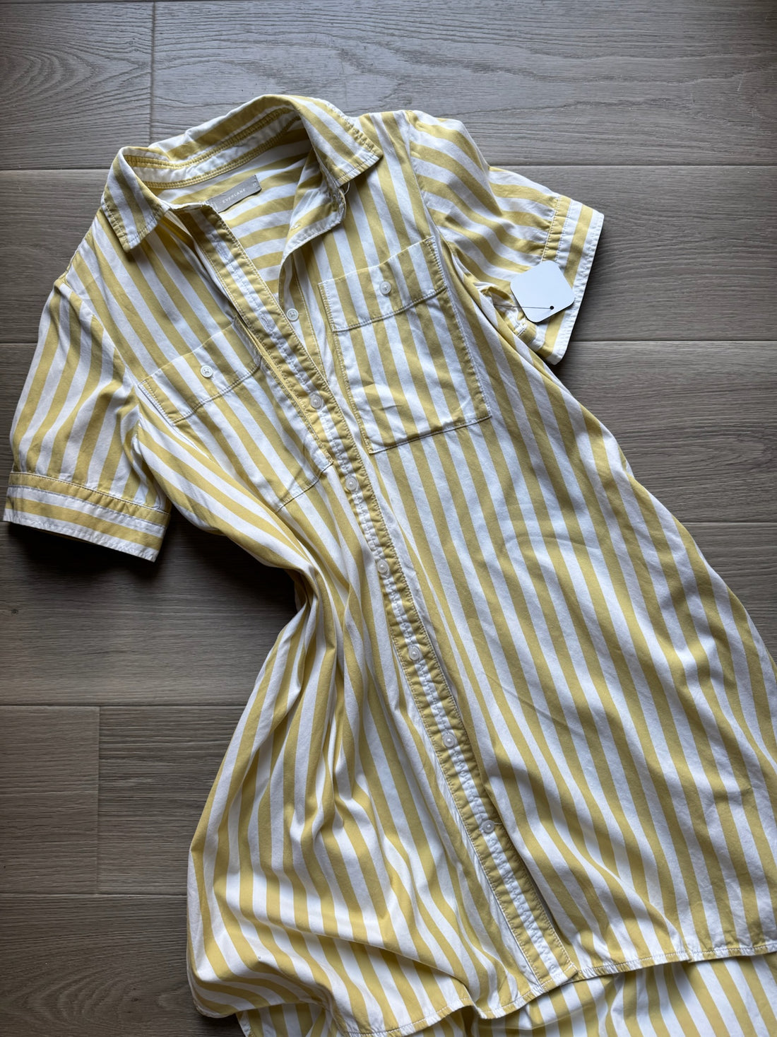 Everlane Daytripper Dress
