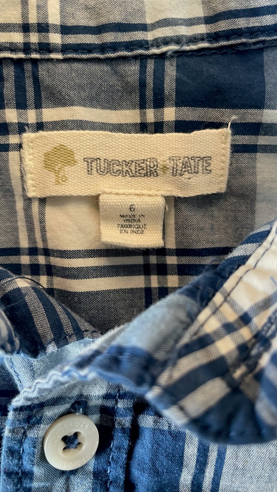 Tucker & Tate Blue Plaid Button Down