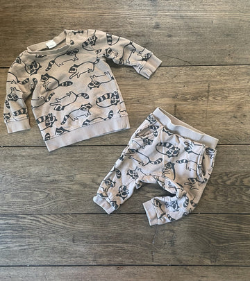 H&M Raccoon Set