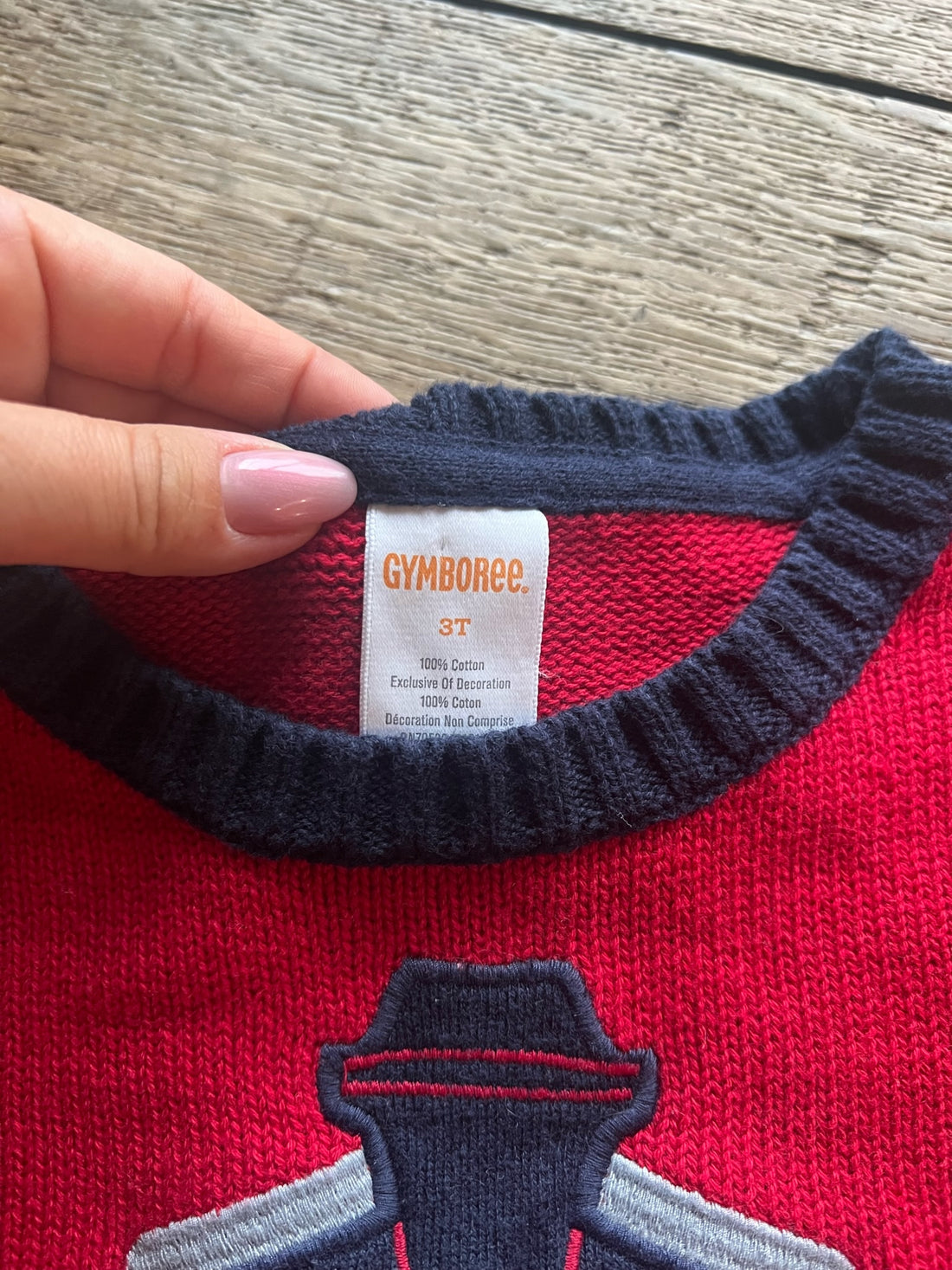 Gymboree Train Sweater