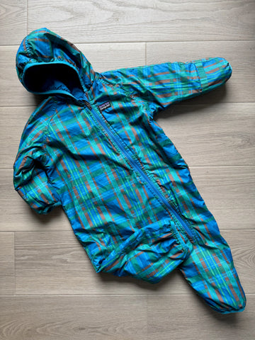 Patagonia Bunting