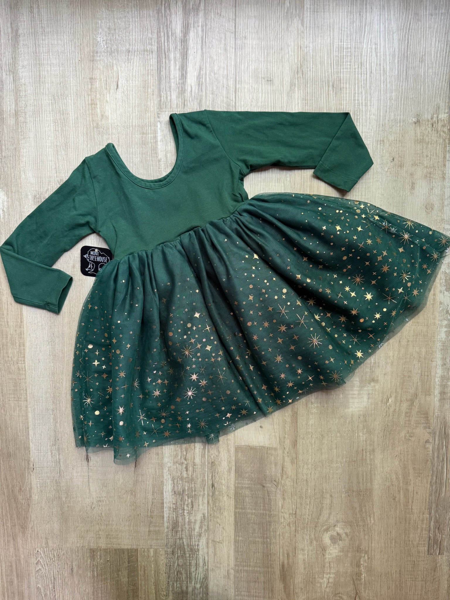Hanna Andersson Green Tulle Dress