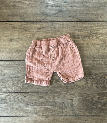 City Mouse Shorts