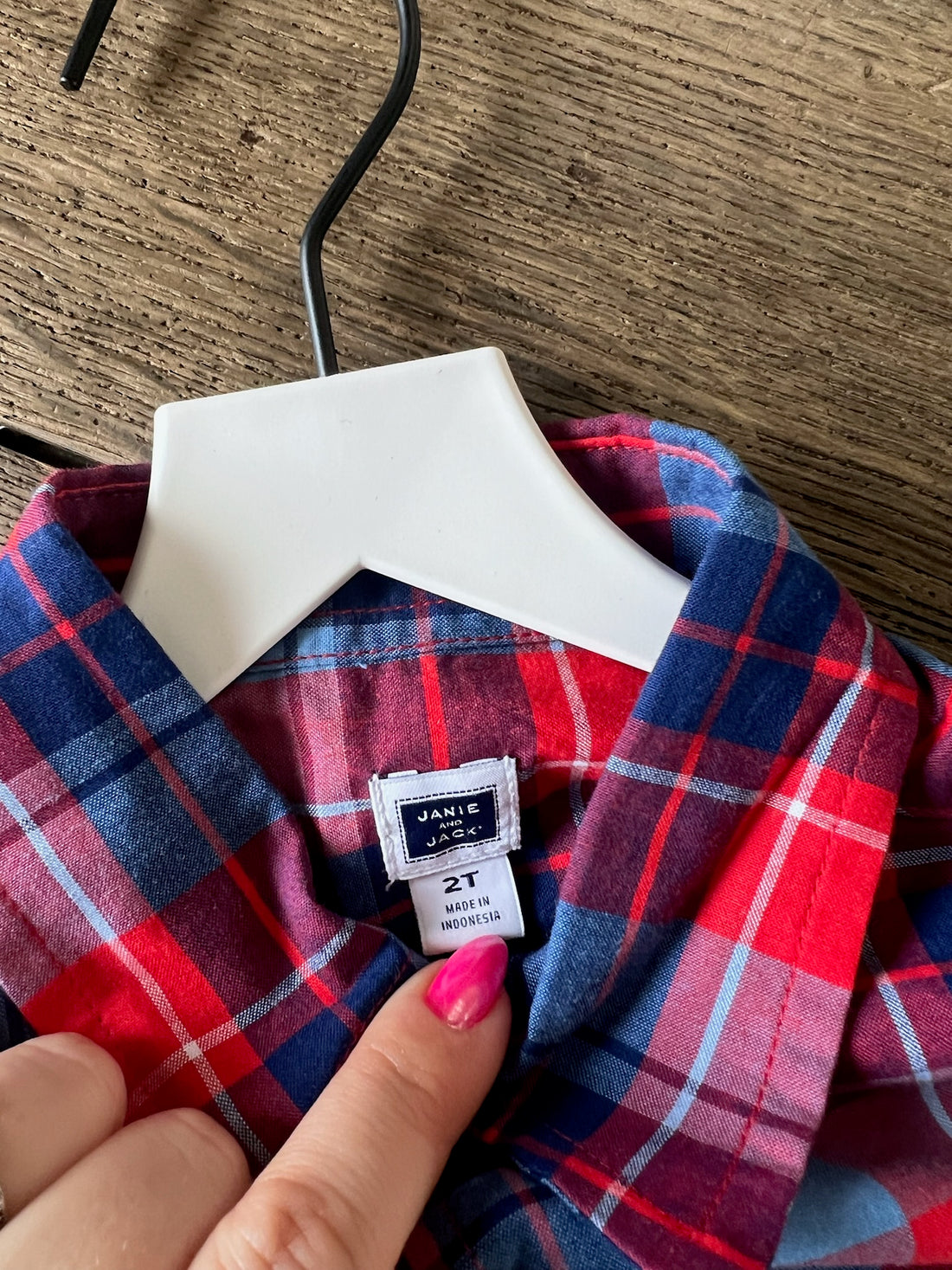 Janie & Jack Blue & Red Plaid Button Down