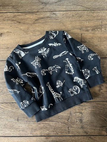 Next Animal Pullover