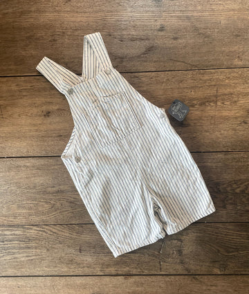 Zara Striped Overalls