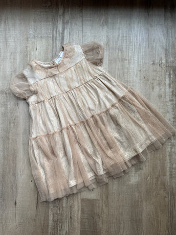 Zara Tan Tulle Dress