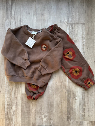 Zara Lion Set - NEW