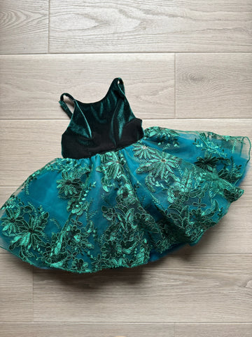 Pleiades Green Velour Tulle Dress