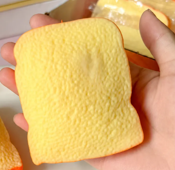 SLICE OF BREAD SQUISHY