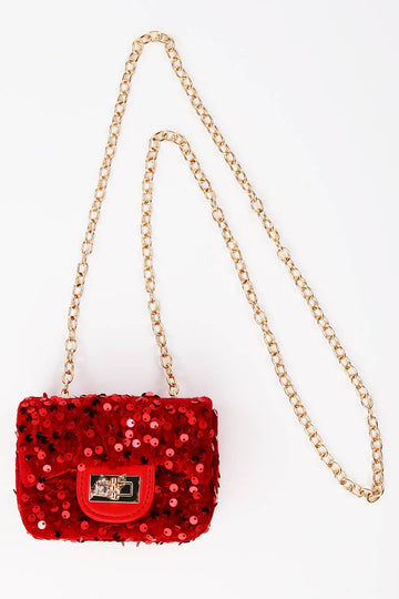 Sequin purse