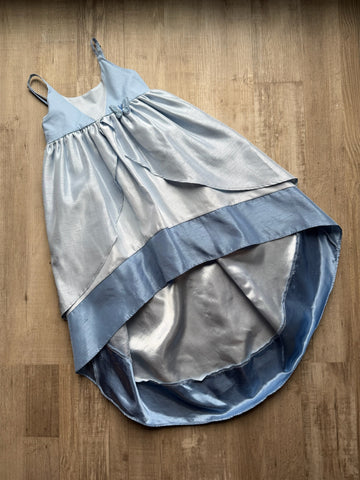 Pleiades Cinderella Dress