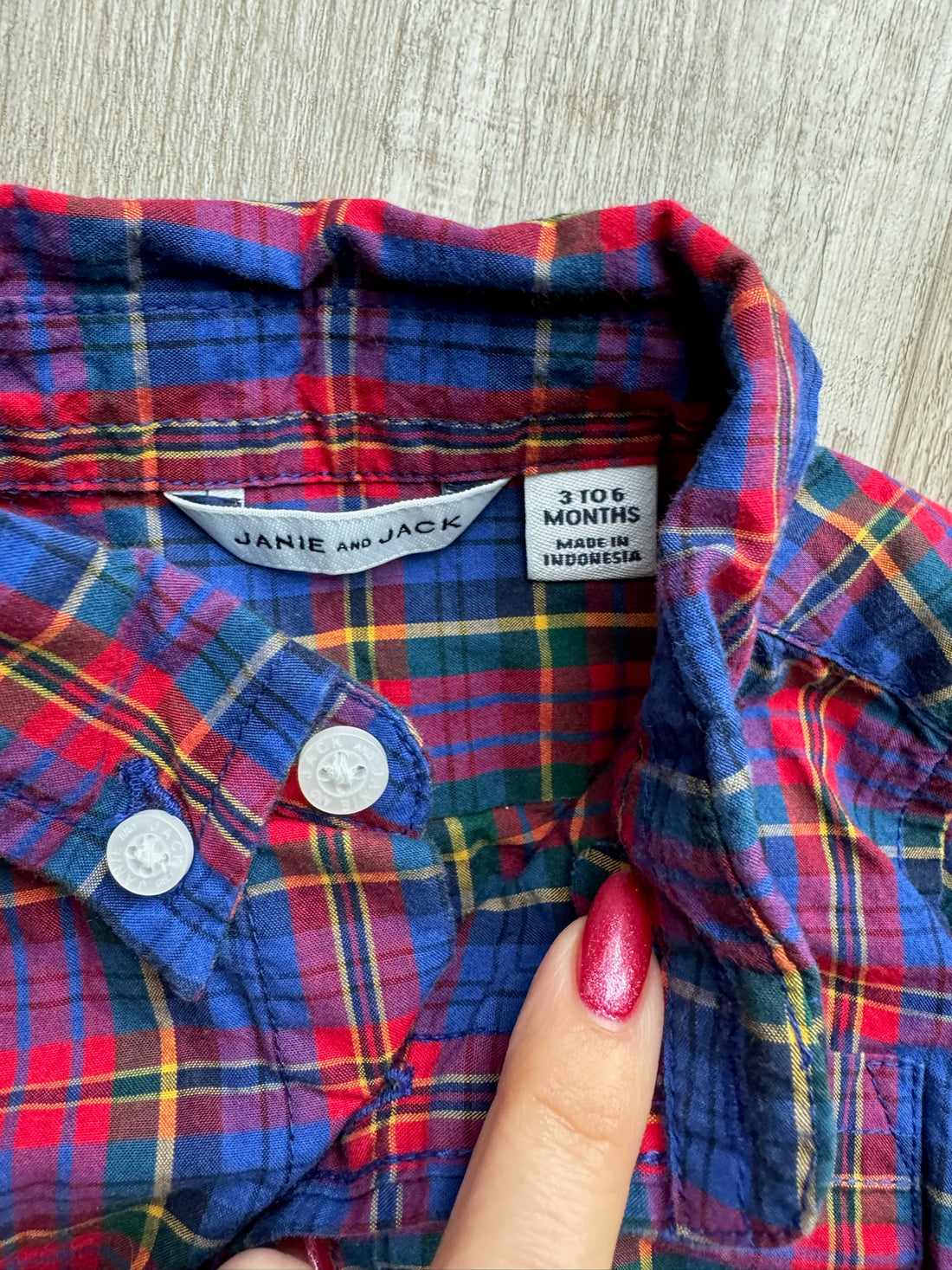 Janie & Jack Red and Blue Button Down