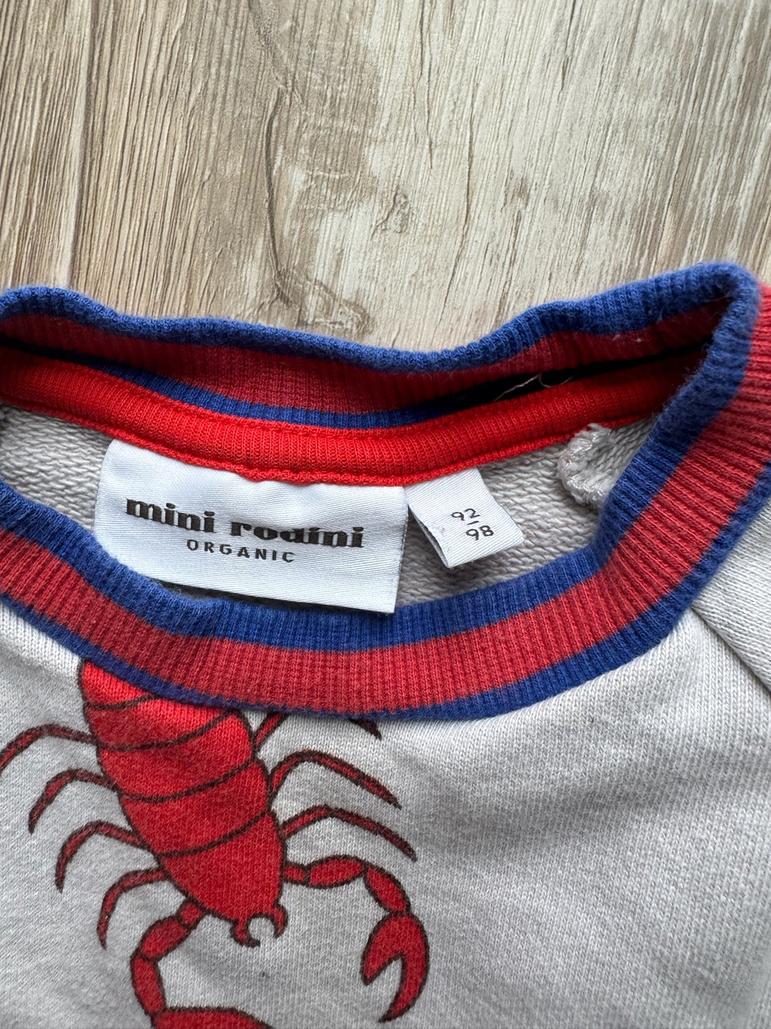 Mini Rodini Lobster Dress