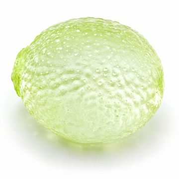 TRANSLUCENT LIME SQUISHY