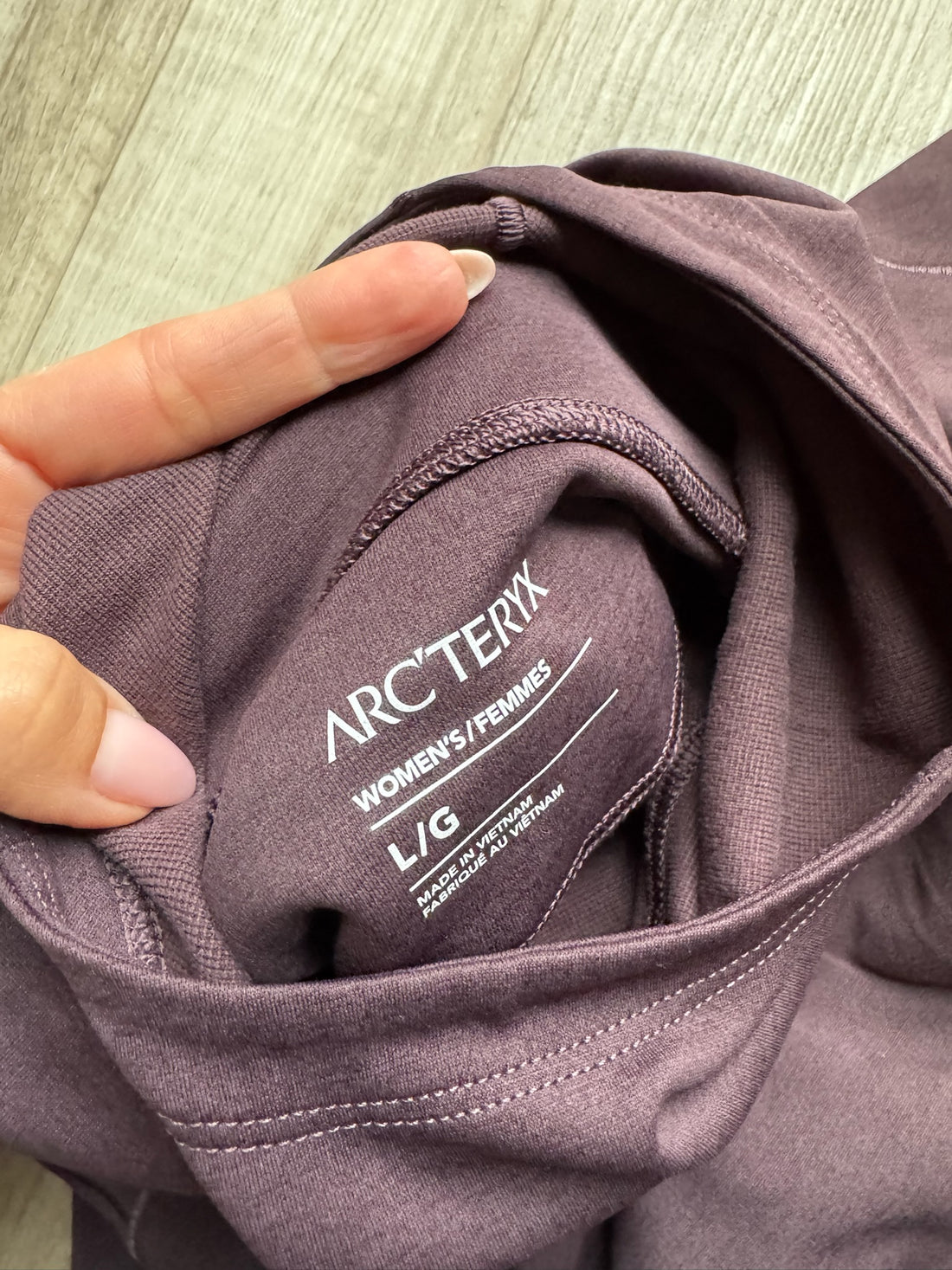 Arc’teryx Purple Hoodie