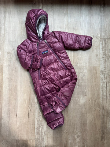 Patagonia Purple Bunting