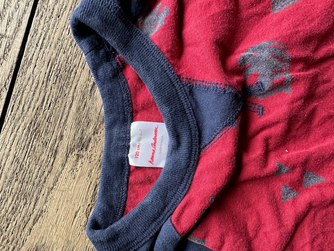 Hanna Andersson Red / Navy Shirt