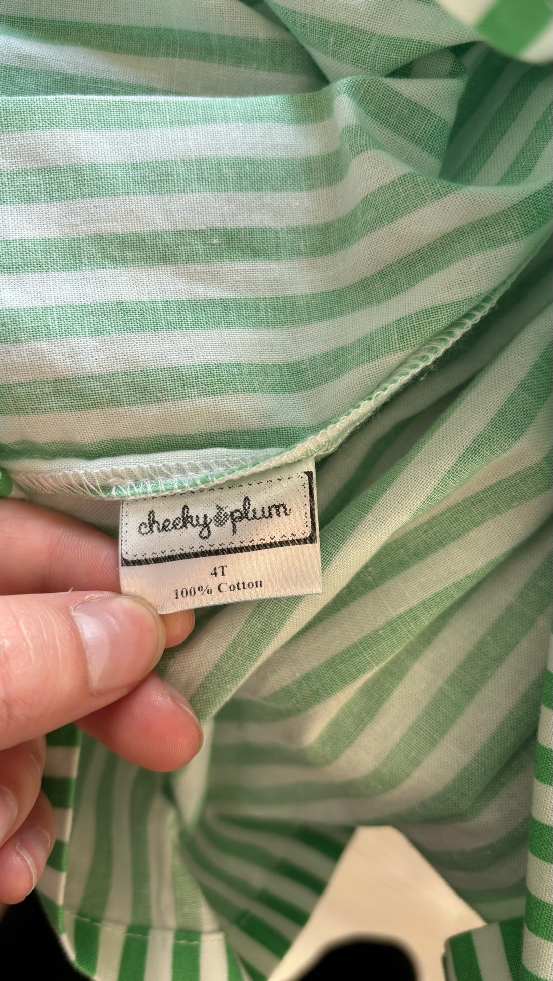 Cheeky Plum Green Striped Dress
