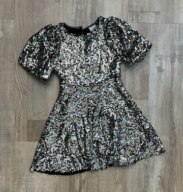 Zara Silver Sequins Dress