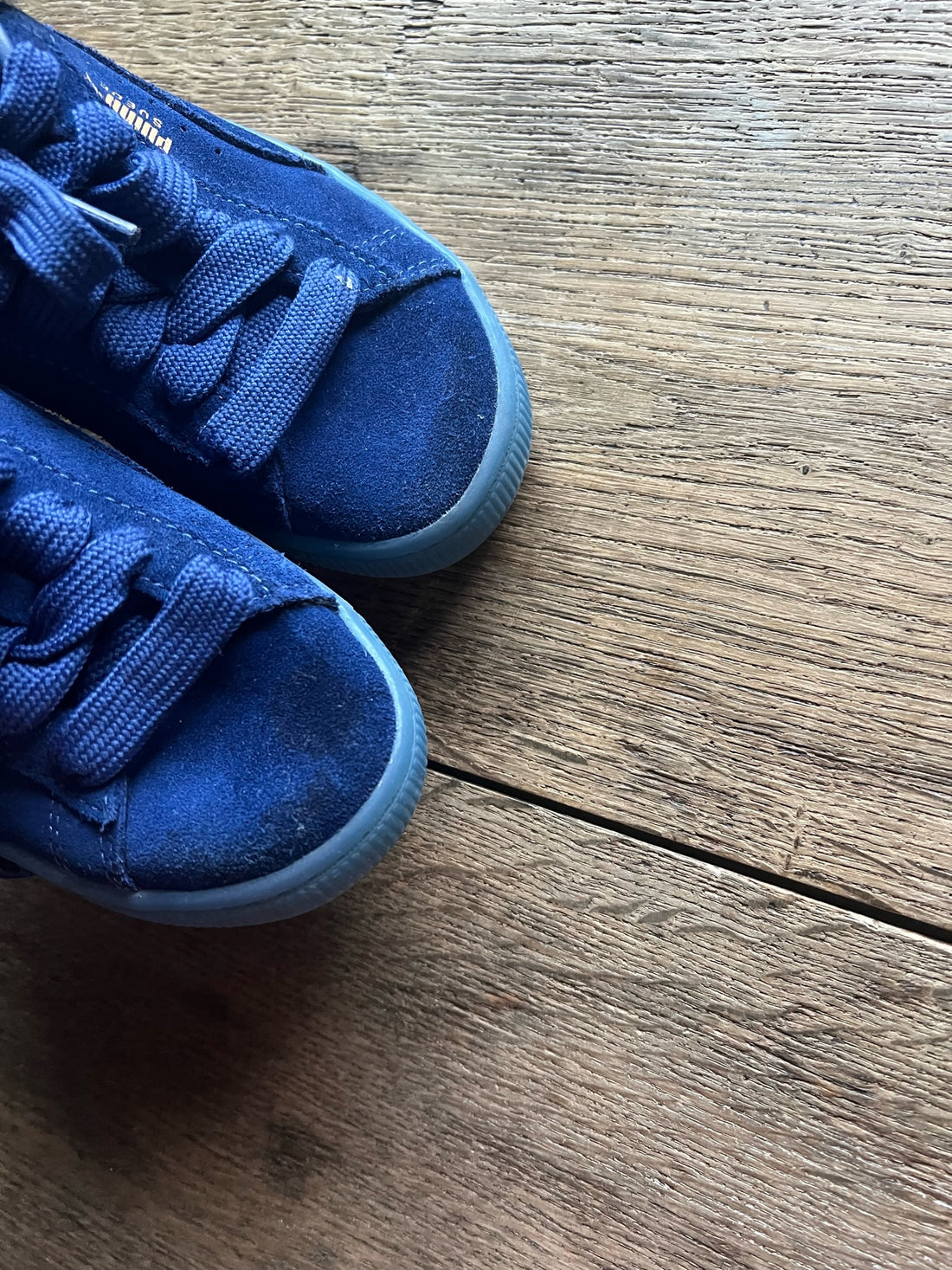Dark Blue Pumas