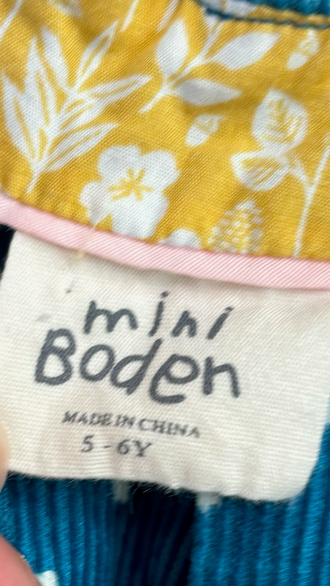 Mini Boden Squirrel Dress