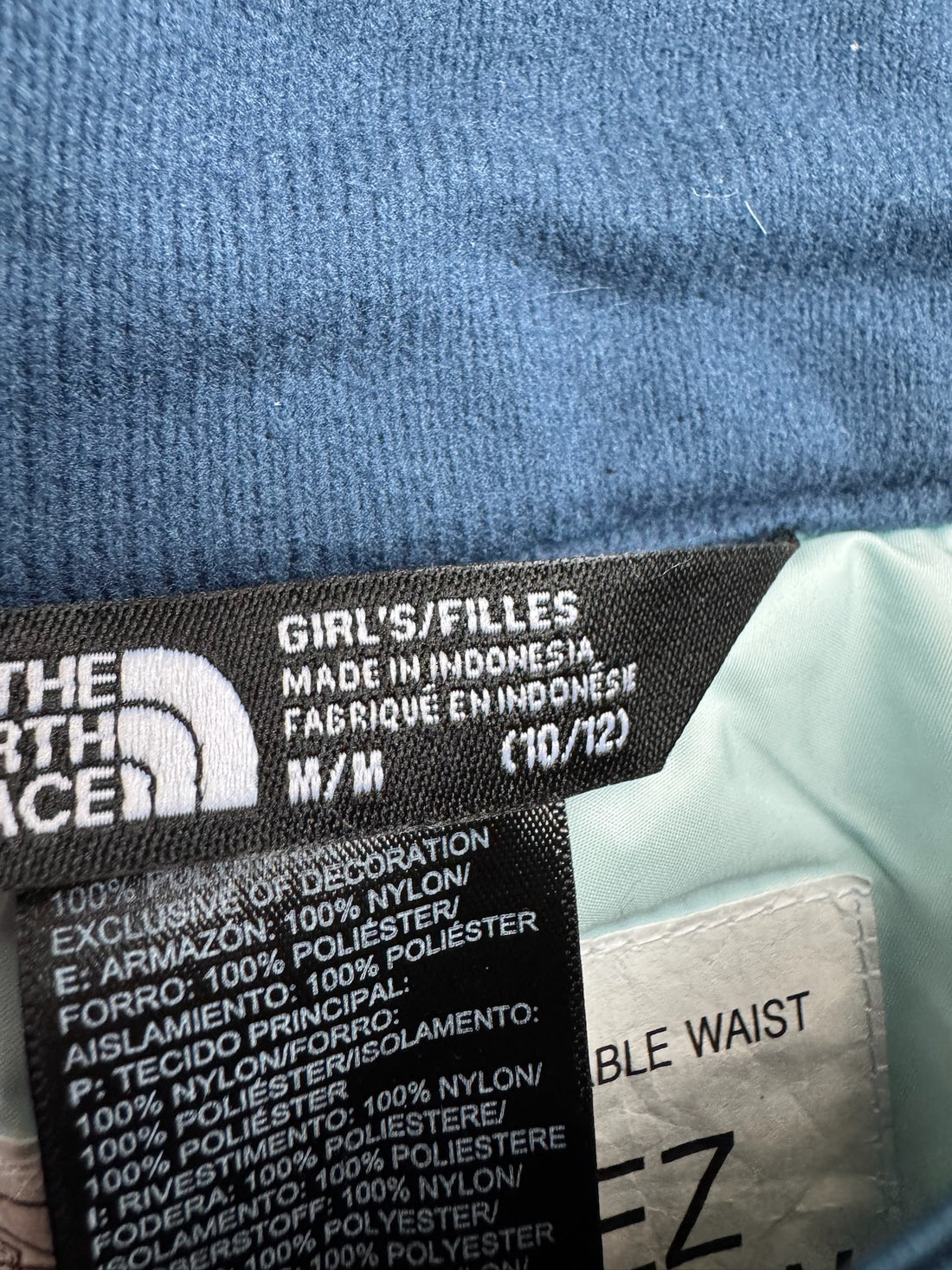 North Face Blue Snow Pants