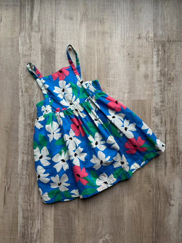 Hanna Andersson Blue Floral Dress
