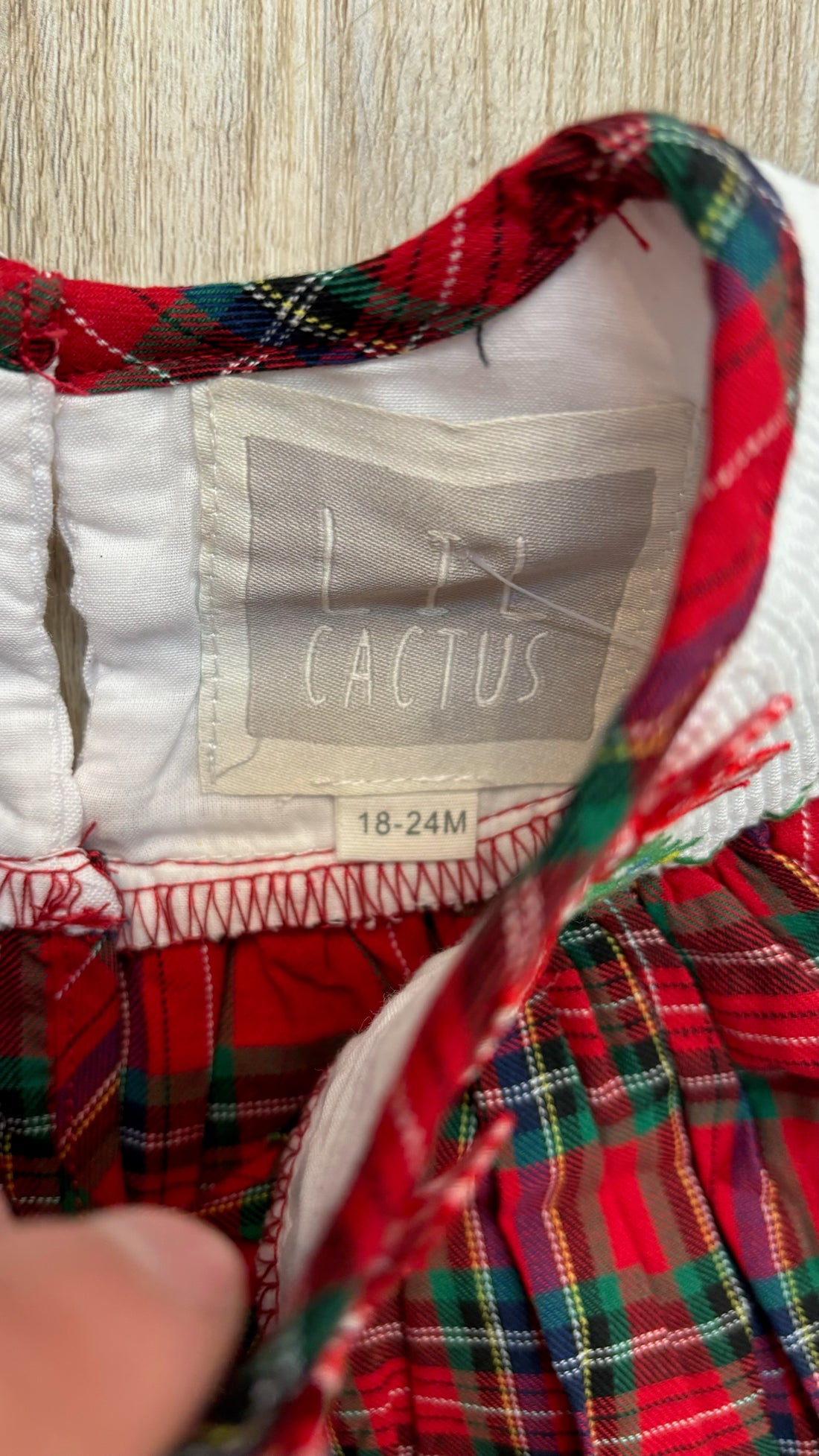 Lil Cactus Plaid Christmas Dress