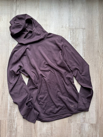 Arc’teryx Purple Hoodie