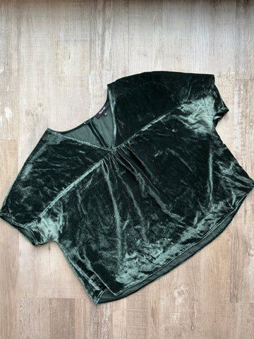 Madewell Green Velour Top