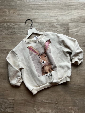 Zara Rabbit Pullover